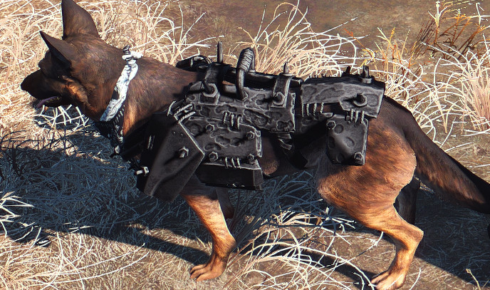 Black Armor for Dogmeat