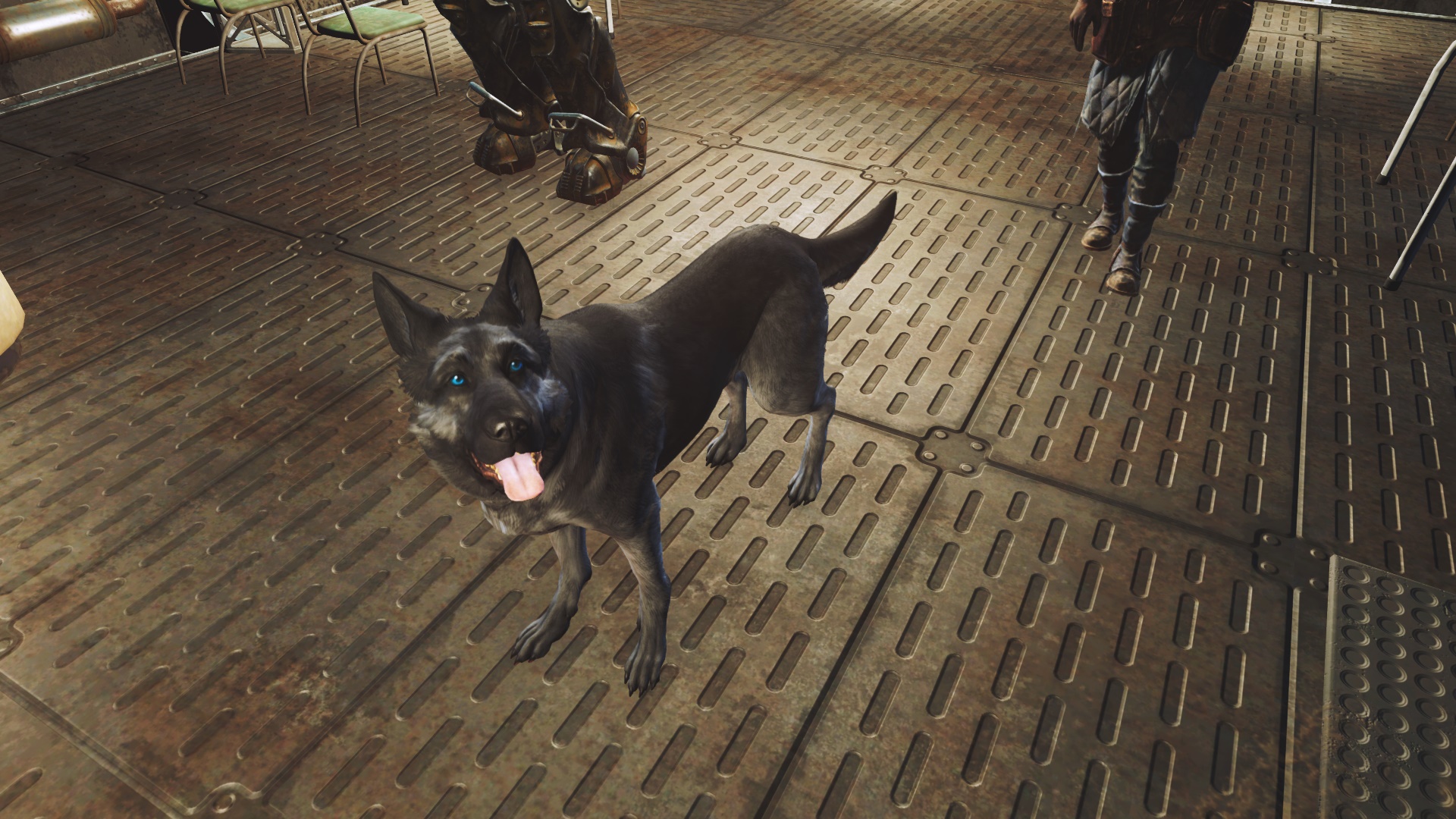 Fallout 4 другая собака фото 115