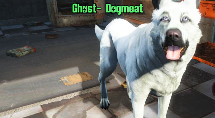 Ghost- White Dogmeat Fallout 4