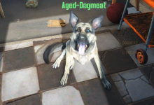 Old Dogmeat Fallout 4