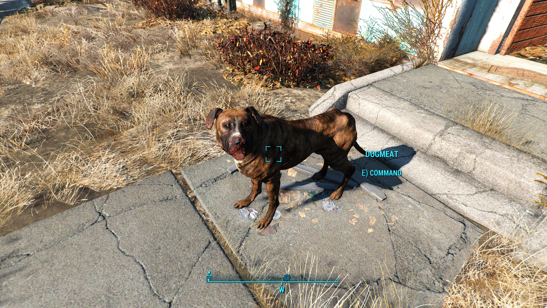Fallout 4 good boy dogmeat фото 76