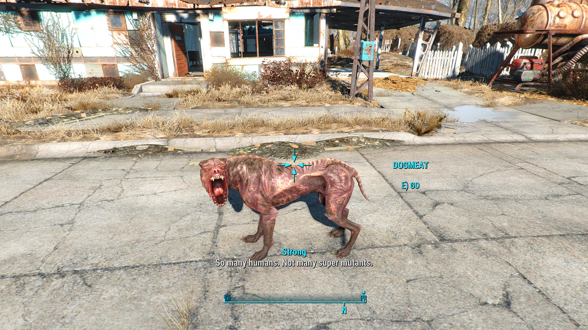Fallout 4 как оставить пса фото 43