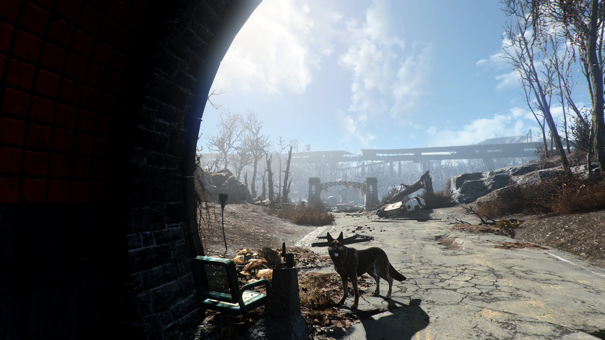 Fallout 4 reshade ambient light фото 16